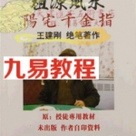祖源风水 阳宅千金指pdf 王建刚收徒教材 2016炒的最火风水书