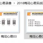 陈春林2018年梅花心易视频加录音