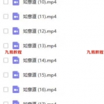 崔凤奇2017年7月祖传皇家阴盘法术奇门68集视频＋讲义