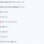 杨清娟盲派命理音频版+深圳班全程笔记手写版107页