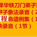 张泽华铁刀门弟子班六十甲子象法录音20节+禄马诀录音