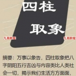 潘昭佑四柱取象视频40集带字幕