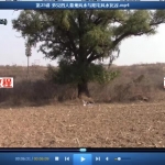 陈霁冰阳宅风水录像课程30集9个小时