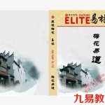 陈春林-《梅花易道》上下册.pdf