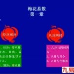 陈有道-梅花易数讲解