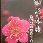 独解梅花易数之八法 《指点春风》栾海涛.pdf