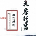 唐友权-大唐行易《梅花精断》319页 ,高清电子版。