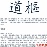道樞.pdf 免费下载