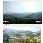 许联斌益福堂说风水—《形派峦体风水案例合集》，4册共500页。