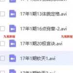 明极紫微斗数视频课2017年1期、2期共30节高清视频