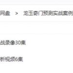 龙玉阴盘奇门遁甲预测实战案例解析课程高清录像30集