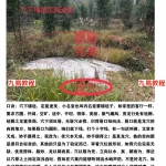 雷麟宗请安易讲的课-《天眼阴宅》2018年第二期天眼风水