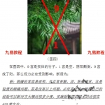 王山谷八卦微信头像49页,前面理论比赵禹钧讲的好。