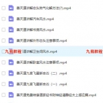 善天道山枫道人最新八宅过路阴阳玄空风水内部课程，53集。