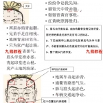 陈庆鹏安徽相法精英课程录像26集,带130页整理笔记!