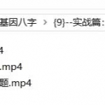 刘世存-《人生基因八字命理》视频40集（完整版）。