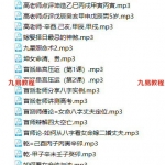 高德臣盲派命理2019年弟子班附加课录音60集31小时。