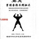 王明奎-36天乾人不倒秘术 金枪不倒秘术.pdf 全套教材资源 百度云网盘下载！