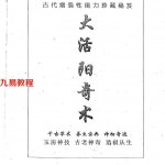 覃雪峰-大活阳奇术.pdf 电子版详解 百度云网盘资源下载！