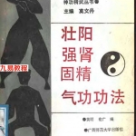 《壮阳强肾固精气功功法》黄明、俞广.pdf 扫描版 百度云网盘资源下载！