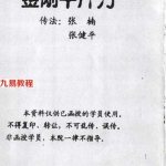 西藏密宗秘传硬气功-金刚千斤力（张楠 张健平）.pdf 电子版资源 百度云网盘下载！