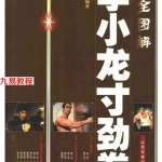 全图解李小龙寸劲拳.pdf 在线阅读 百度云免费下载!