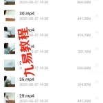 三元挨星地理风水些子法，38集录像，配套一本手抄本讲义！