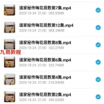 谷晟阳道家秘传梅花易数课程12集视频 高清 百度云下载！