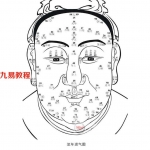 相学手抄秘本..pdf 电子版分享 百度云网盘免费下载！