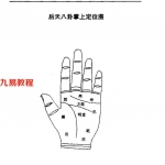 最全中医手掌诊断学-周鑫.pdf 清晰版 百度云网盘下载！