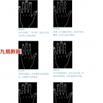 专家图片解说手相.pdf 完整电子版 百度网盘资源下载!