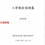 徐伟刚-八字综合实例集.pdf 完整电子版 百度云网盘免费下载!