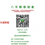 钱瑞彬-象法大成《八字精微取象》最新版.pdf  百度云网盘资源下载！