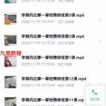 李佩袀~达摩一掌经线上培训课程视频讲解47集 +精修班12集 百度云