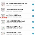 仙扑门梅花易数 梅花分类占20集视频 百度网盘下载！