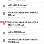 民间八字实战课程56个录音内部弟子班泄露出来，都是批八字实用技法。