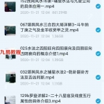 辰戌风水堂金秋老师风水讲座内部课程176集视频三合风水理气、玄空风水等多项