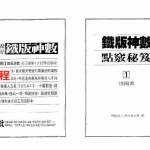 林炎成-洛阳派铁版神数点窍秘笈.pdf 全文电子版 百度云网盘资源下载！