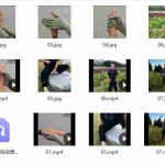 蛰龙道密纯阳火龙诀 课程包含视频录音+动画示范+2个电子书 百度云下载