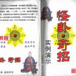 冲天居士李纯文-怪卦奇招实例演示.pdf 内部资料详集 百度云网盘资源下载!