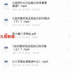 乾小鲲八字命理课程 八字择业7个视频+电子书 百度网盘下载