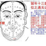 面相学流年运程.pdf 55页 面相学看年运 百度网盘资源!