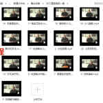 茅山道医鲁东20个道医绝招一套20个视频讲解 百度网盘下载！