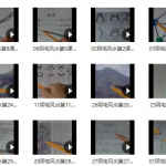 林来锦古法形家风水阴宅风水总论30集34个视频 百度网盘下载