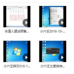 丰道人小六壬视频11集 包含道法,择日,修行 百度网盘下载!