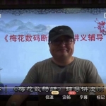 陈春林大师《梅花数码断》视频12集+配套讲义 百度云下载