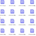 2015年沙漠绿洲八字讲座152集录音+八字六爻笔记 百度网盘下载