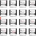 2018年信纳风吹老师 四柱八字初级班视频48集 百度网盘下载!