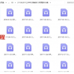 2017上半年沙漠绿洲八字讲座录音课程56集 百度网盘下载！