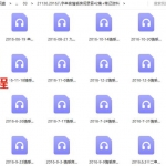 沙漠绿洲2016八字串宫情感房间录音42集+笔记资料 百度网盘下载